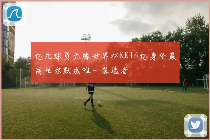 亿元球员无缘世界杯KK14亿身价最高帕尔默成唯一落选者