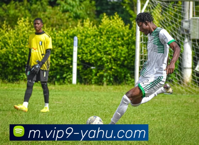 雅虎体育平台生态图